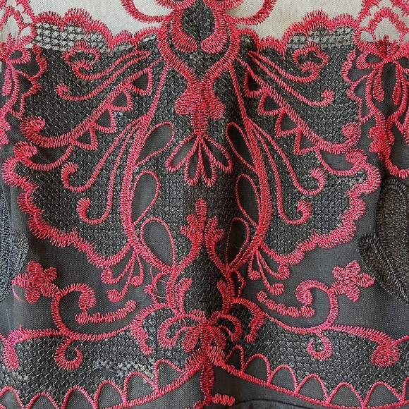 🏷️ 2/$20 Greylin Black and Red Embroidered Illusion Neckline Cocktail Dress - Picture 4 of 12